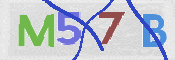 CAPTCHA 驗證圖片