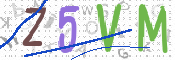 CAPTCHA 驗證圖片