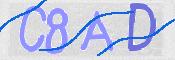 CAPTCHA 驗證圖片