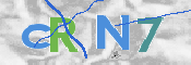 CAPTCHA 驗證圖片
