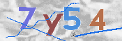 CAPTCHA 驗證圖片