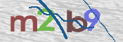 CAPTCHA 驗證圖片