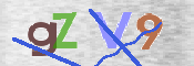 CAPTCHA 驗證圖片