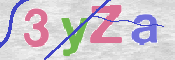CAPTCHA 驗證圖片