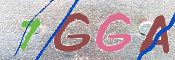 CAPTCHA 驗證圖片