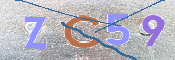 CAPTCHA 驗證圖片