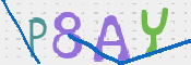 CAPTCHA 驗證圖片