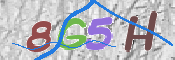 CAPTCHA 驗證圖片