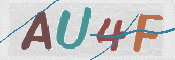 CAPTCHA 驗證圖片