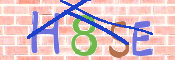 CAPTCHA 驗證圖片
