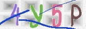 CAPTCHA 驗證圖片