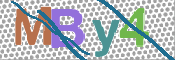 CAPTCHA 驗證圖片
