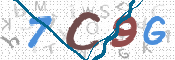 CAPTCHA 驗證圖片