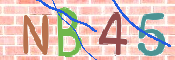 CAPTCHA 驗證圖片