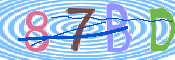 CAPTCHA 驗證圖片