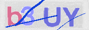 CAPTCHA 驗證圖片
