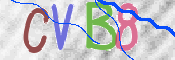 CAPTCHA 驗證圖片