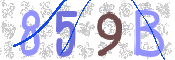 CAPTCHA 驗證圖片