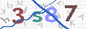 CAPTCHA 驗證圖片