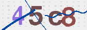 CAPTCHA 驗證圖片