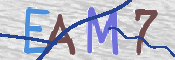 CAPTCHA 驗證圖片