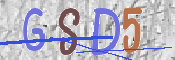 CAPTCHA 驗證圖片