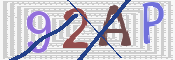CAPTCHA 驗證圖片