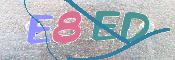CAPTCHA 驗證圖片