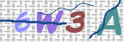 CAPTCHA 驗證圖片