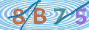 CAPTCHA 驗證圖片