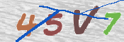 CAPTCHA 驗證圖片