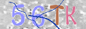 CAPTCHA 驗證圖片