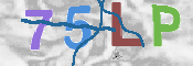 CAPTCHA 驗證圖片