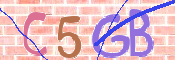 CAPTCHA 驗證圖片