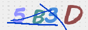CAPTCHA 驗證圖片