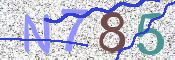CAPTCHA 驗證圖片