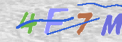 CAPTCHA 驗證圖片