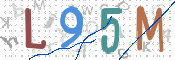 CAPTCHA 驗證圖片