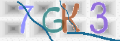 CAPTCHA 驗證圖片