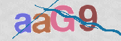 CAPTCHA 驗證圖片