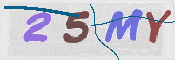 CAPTCHA 驗證圖片