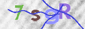 CAPTCHA 驗證圖片