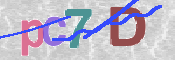 CAPTCHA 驗證圖片