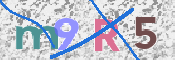 CAPTCHA 驗證圖片