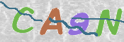 CAPTCHA 驗證圖片