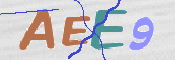 CAPTCHA 驗證圖片