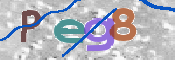 CAPTCHA 驗證圖片
