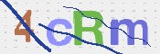 CAPTCHA 驗證圖片