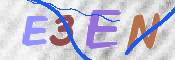 CAPTCHA 驗證圖片