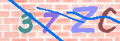 CAPTCHA 驗證圖片